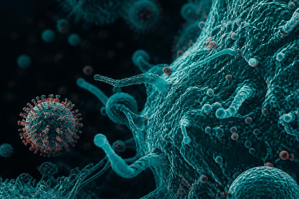 Microscopic visualization of virus particles near a cell